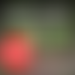 Town Ordered to Stop Construction in the Pomfret Forest