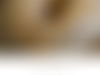 4 Ingredient Protein Bagels