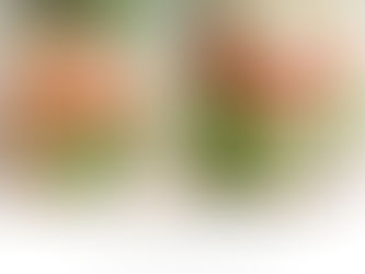 Spicy Tuna Mason Jar Salad