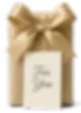 Gift.webp