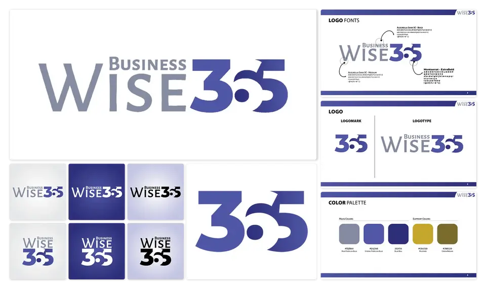 BusinessWise 365 - Branding