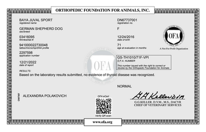 Screen Shot 2022-12-21 at 10.32.54 AM.png