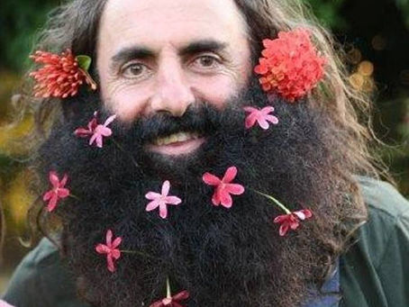 Vegetable Garden Update