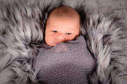 Newborn