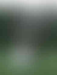 Vancouver Stanley Park Pavillion Wedding Photography 