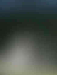 Vancouver Stanley Park Pavillion Wedding Photography 