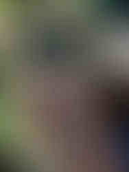 Vancouver Stanley Park Pavillion Wedding Photography 