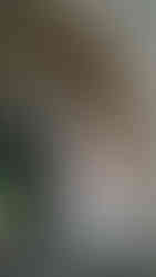 Fonda Fora - Calgary Restaurant Wedding Reception - Jewish Wedding