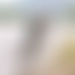 Destination Weddings: A Picture-perfect Engagement Session in Banff Mountains