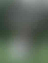 Vancouver Stanley Park Pavillion Wedding Photography 