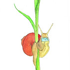 This is a watercolour painting of Blink the snail. They are wrapped around a leaf holding a letter in their mouth. His shell is orange and his body is beige. The leaf is grean.