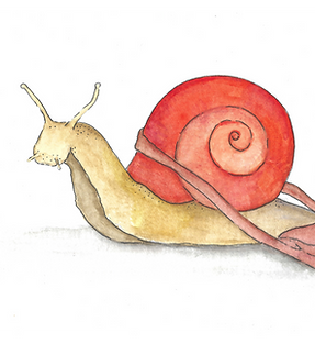 A watercolour painted snail with and orange shell. Beige body. Has a mail bag around their shell and is dragging letters.