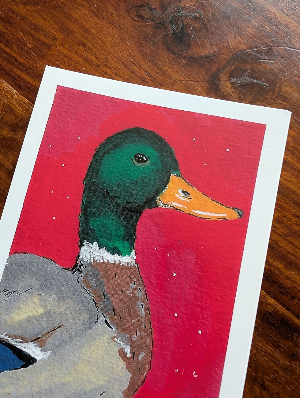 Thumbnail: Duck Postcard