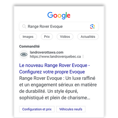 autosync-wix-product-pages-digital-advertising-target-fr.png