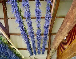 Luxury Gift, Lavender Gifts, dried lavender, Lavender Oil