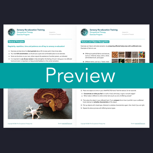 Sensory Re-education Training: Occupational Therapy Exercise Program (OT Downloads on The Occupational Therapy Hub)