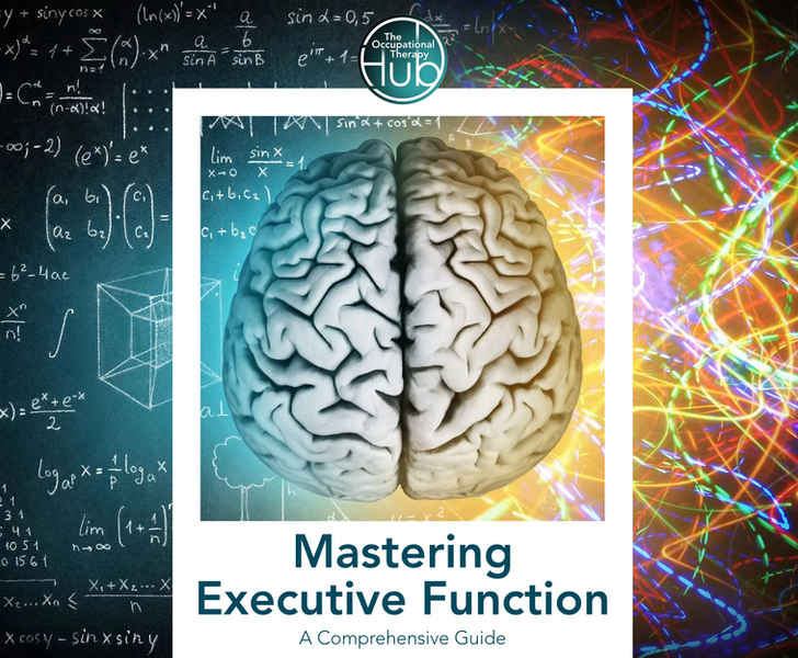 Mastering Executive Function: A Comprehensive Guide (OT CPD Courses on The Occupational Therapy Hub)
