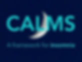 CALMS: A Practical Framework to Support Clients with Insomnia