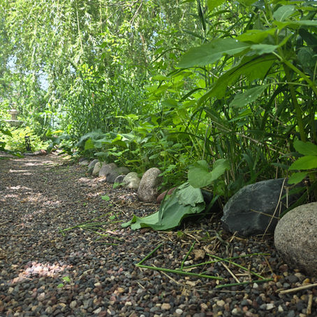 Trail winding through our Wild Garden