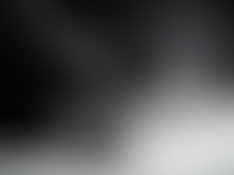 How Often Should You Clean Carpets in Cape Coral Homes?