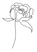 IMG-3711.PNG