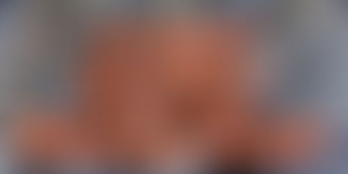 #6 Weihnachten vs. August