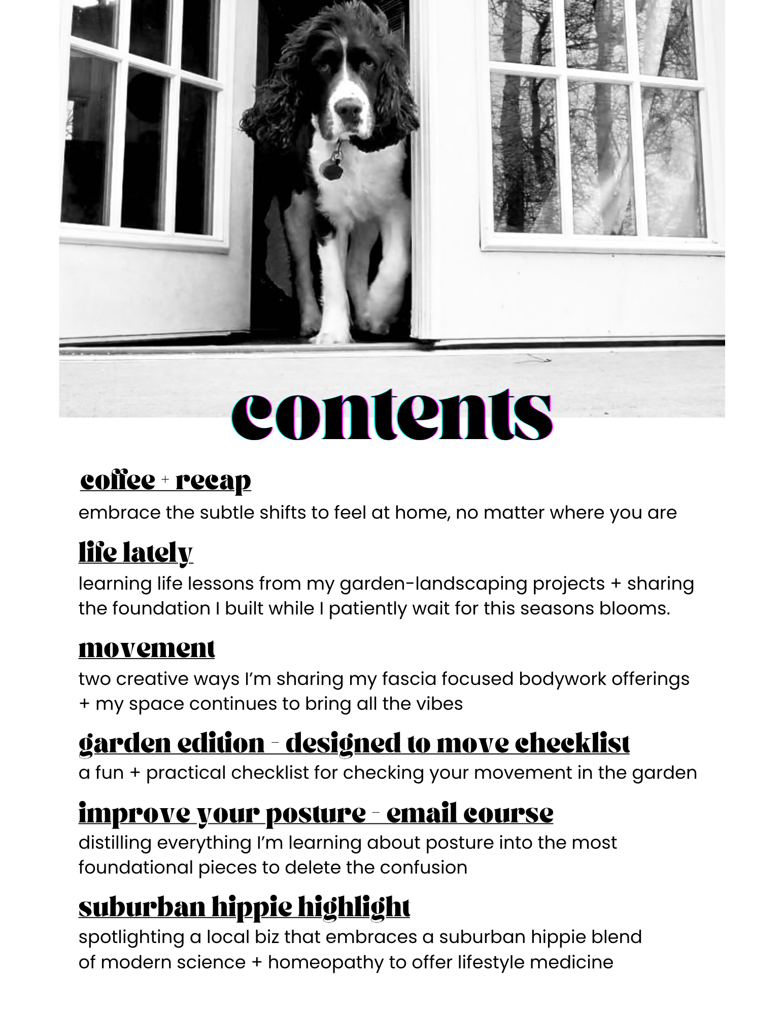 dog in window above table of contents