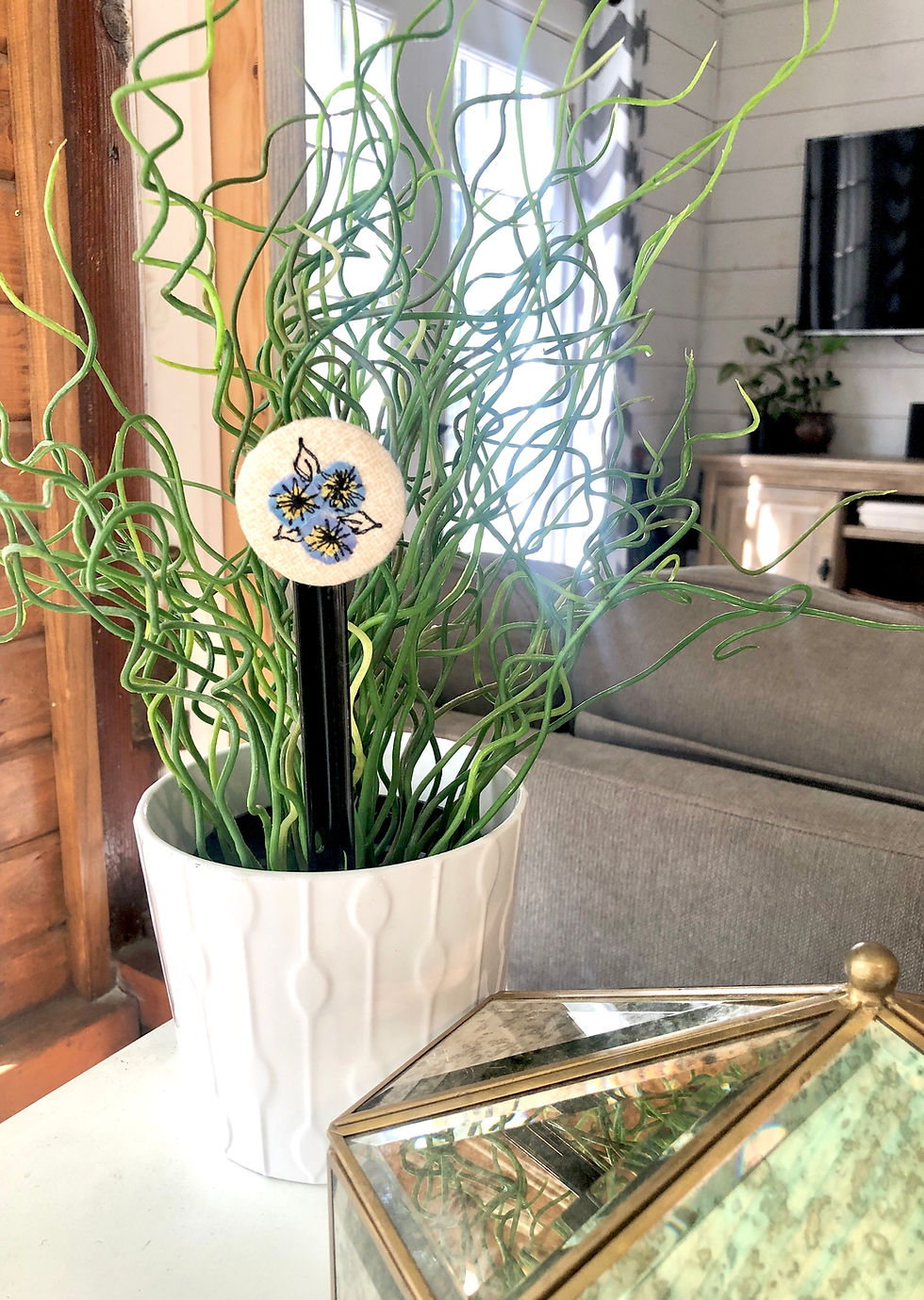 Thumbnail: September Birth Month Flower Button Aster