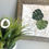 Thumbnail: Monstera Switch