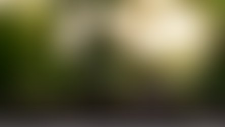 環境部公布「臺灣2035年國家自定貢獻 (NDC3.0)」並成立COP30戰情中心