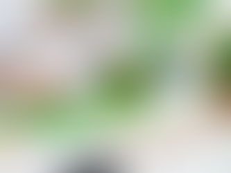 為編製115年報所需,金管會提醒第一階段上市櫃公司優先蒐集準備氣候相關資訊