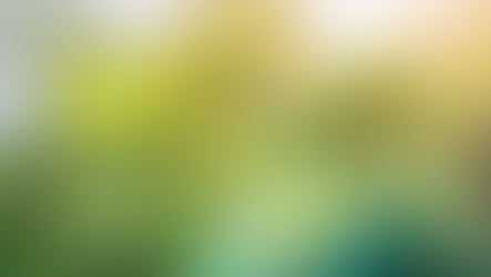 UNFCCC:全球氣候適應行動已有基礎,但速度仍需加快