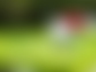 What's The Perfect Gift for Any Golfer? Better Golf.