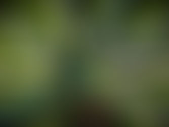 Golf Grips - The Most Overlooked Part of Your Equipment: Why AI Is the Best Way to Get Them Right