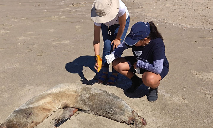 WhatsApp Image 2025-09-30 at 3.23.17 PM (6).jpeg