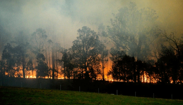 Bushfires.gif