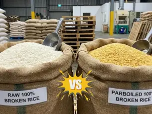 Raw vs Parboiled 100% Broken Rice: Which Is Better for Import?
