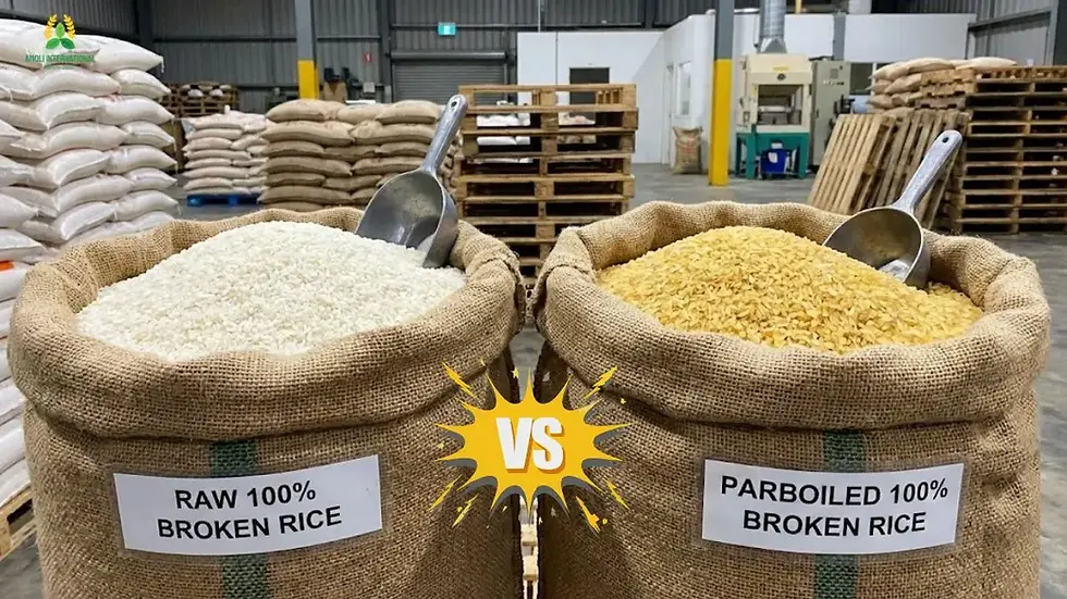 Raw vs Parboiled 100% Broken Rice: Which Is Better for Import?