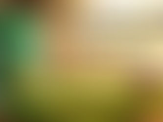 What Makes Indian Basmati Rice Preferred by Global Buyers?