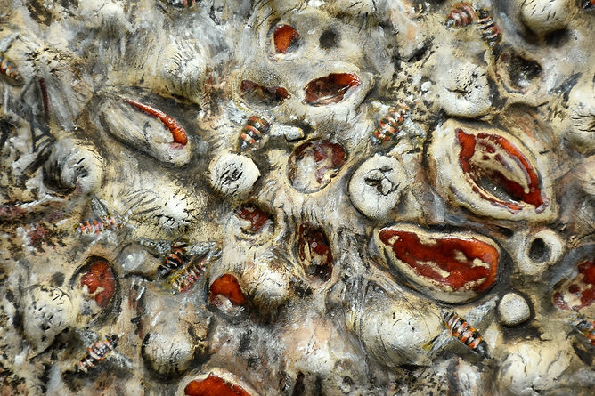 זרעי קיץ-חדוה ורוני ראובן.jpg