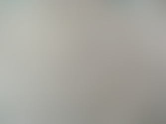 The Revival of the Hawk Editorial