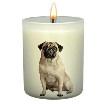 Thumbnail: Pawfect Candle