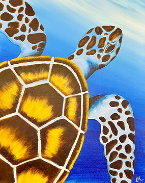 sea turtle.jpg