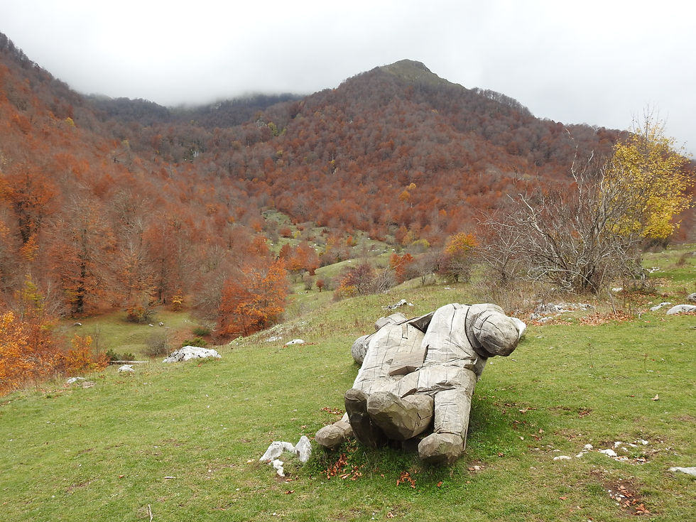 Escursione nel bosco della Difesa di Pescasseroli