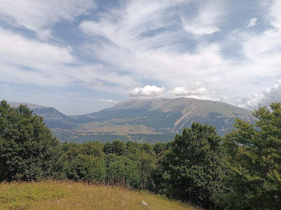 Colle Brignole: uno sguardo su Maja