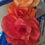 Miniature : MasterClass Fleurs