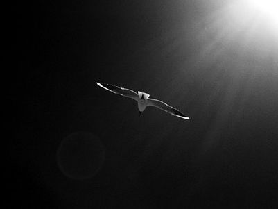 Invictus