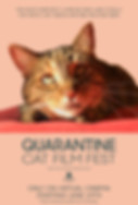 Quarantine Cat Festival