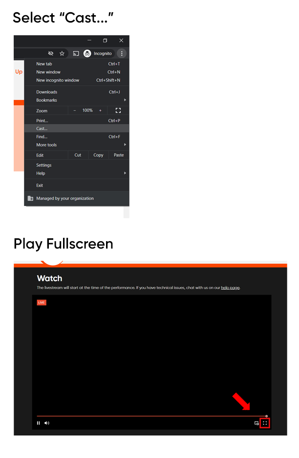 Example Image