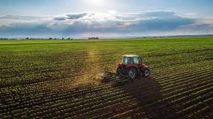 farm.jpeg